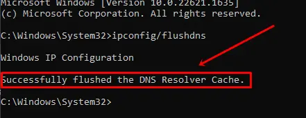 You will see the message Successfully flushed the DNS resolver cache