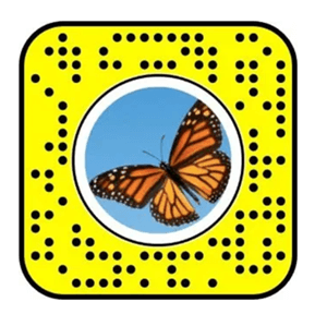 butterfly lense snapcode