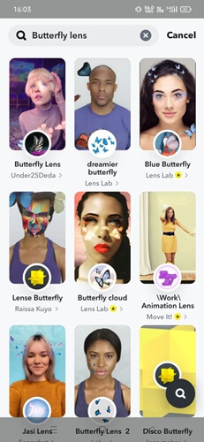 butterfly lenses for use