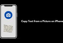 how to copy text from a Picture on iPhone