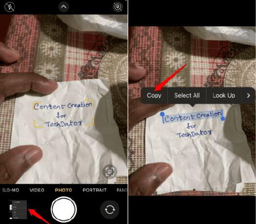 how to copy text from a picture on iPhone