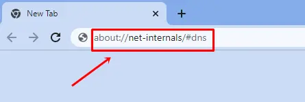 escriba acerca de net-internals dns en la barra de búsqueda