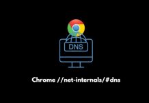 how-to-clear-the-Chrome DNS Cache Chrome net internals dns