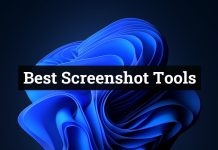 Best Screenshot Tools for Windows