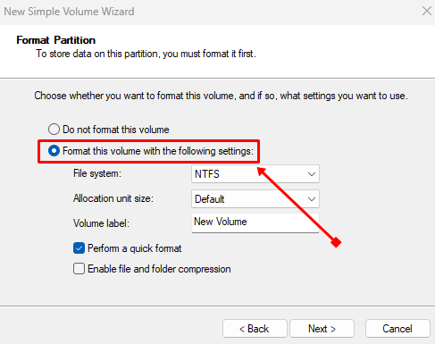 choose Format this volume with the following settings
