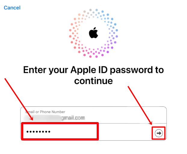 Enter your Apple ID and password
