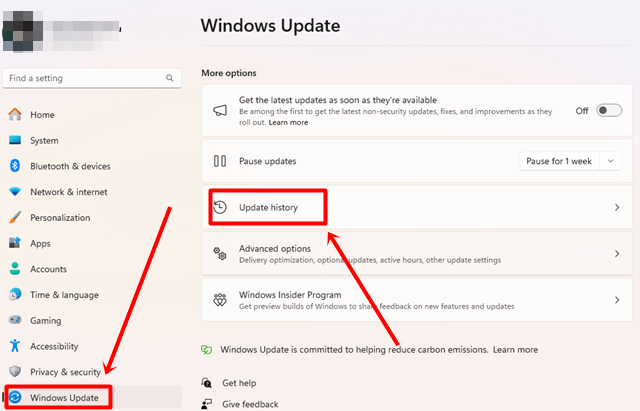 Go to windows update history option