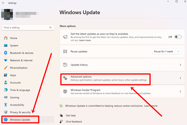 Windows update's advance option