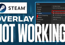 Steam Overlay Not Working