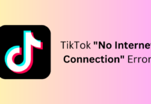 TikTok No Internet Connection Error