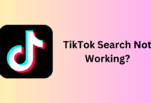 TikTok Search Not Working?